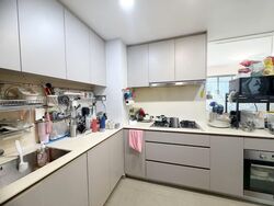 Riversails (D19), Condominium #542030251
